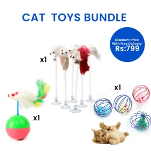 Best Value Cat Toys Bundle