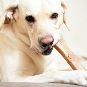 Calcium Chewing Bones Teether for Strong Teeth