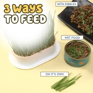 Cat Grass Growing Kit (With Free Seeds)