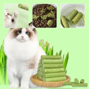 Cat Grass Teething Sticks for Teeth and Hairballs