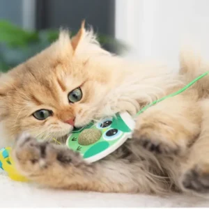 Hanging Catnip Toy