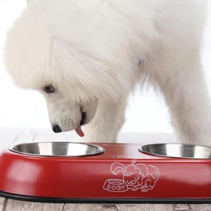 Steel Double Bowl for Water & Food